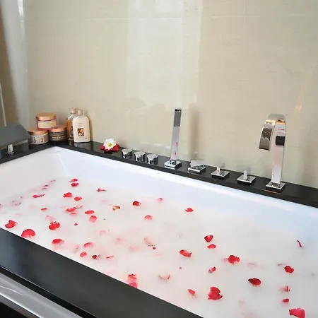 Hotel Hotel Zeder Garni Beograd