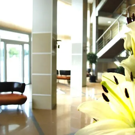 Отель Zeder Garni Белград