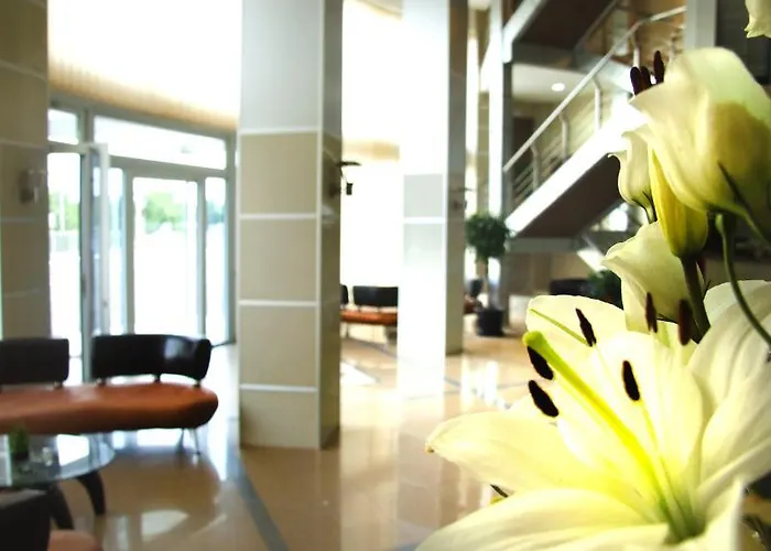 Otel Zeder Garni Belgrad